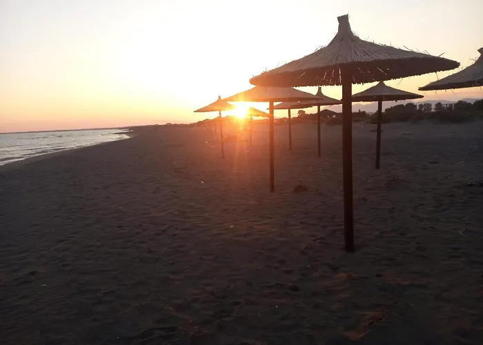 Πανσιόν Visi Baks-Rrjoll